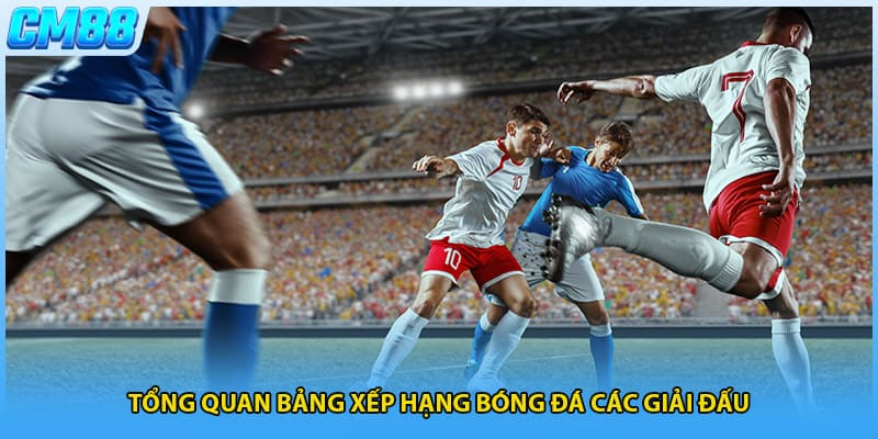 Tổng quan bảng xếp hạng bóng đá các giải đấu